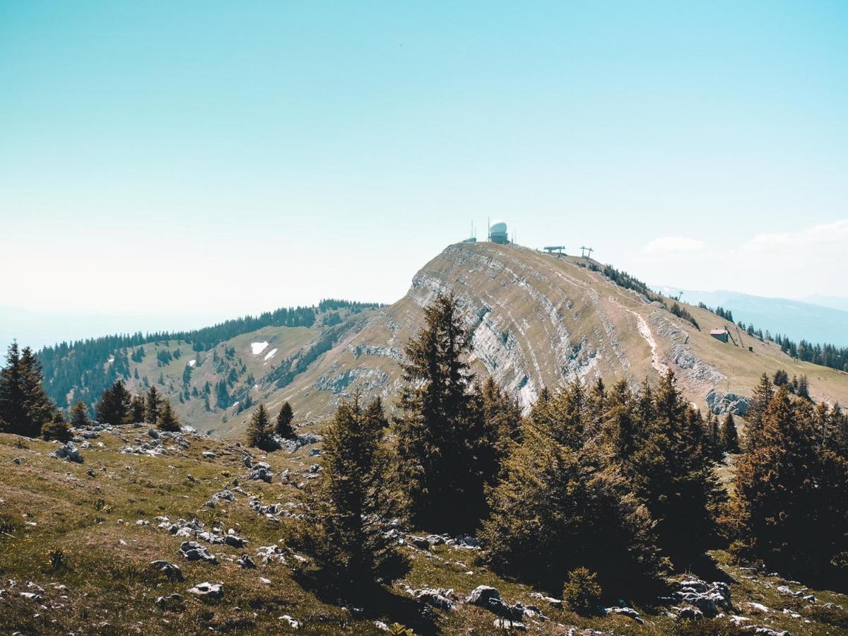 Appartement Ideal Pour Ete Et Hiver, Situe Au Pied Des Pistes De Ski Et Des Sentiers De Randonnee Prémanon Dış mekan fotoğraf