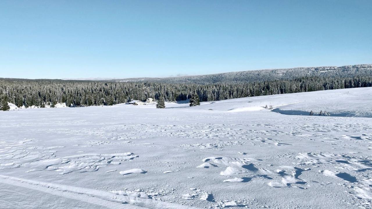 Appartement Ideal Pour Ete Et Hiver, Situe Au Pied Des Pistes De Ski Et Des Sentiers De Randonnee Prémanon Dış mekan fotoğraf
