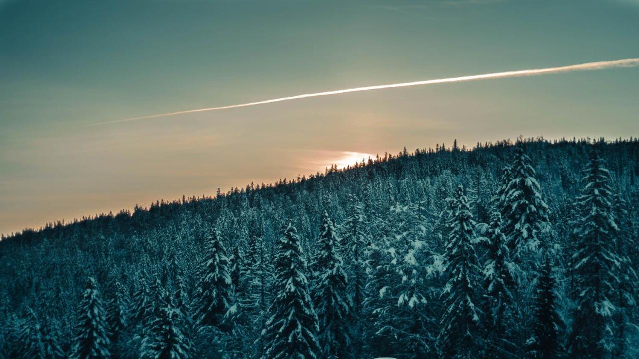 Appartement Ideal Pour Ete Et Hiver, Situe Au Pied Des Pistes De Ski Et Des Sentiers De Randonnee Prémanon Dış mekan fotoğraf