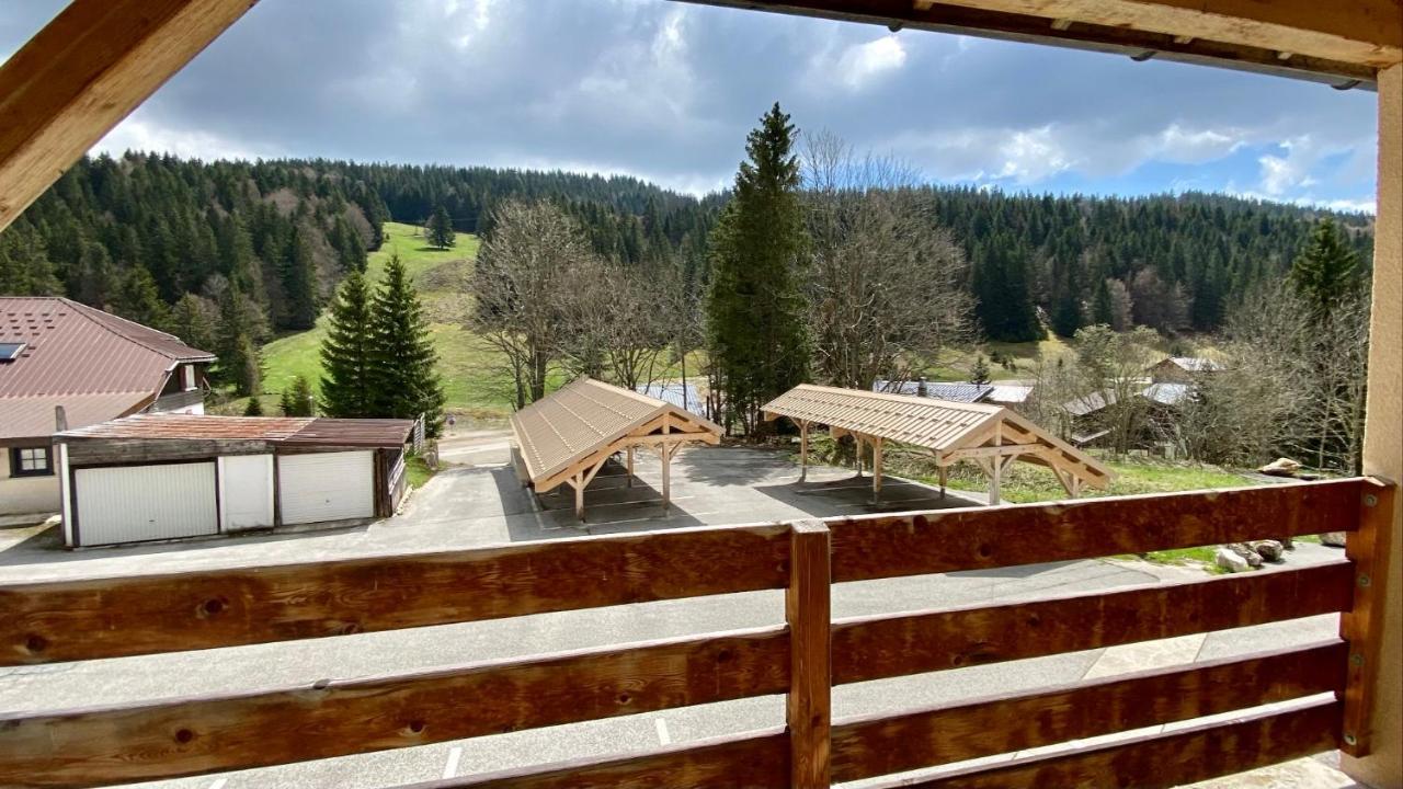 Appartement Ideal Pour Ete Et Hiver, Situe Au Pied Des Pistes De Ski Et Des Sentiers De Randonnee Prémanon Dış mekan fotoğraf
